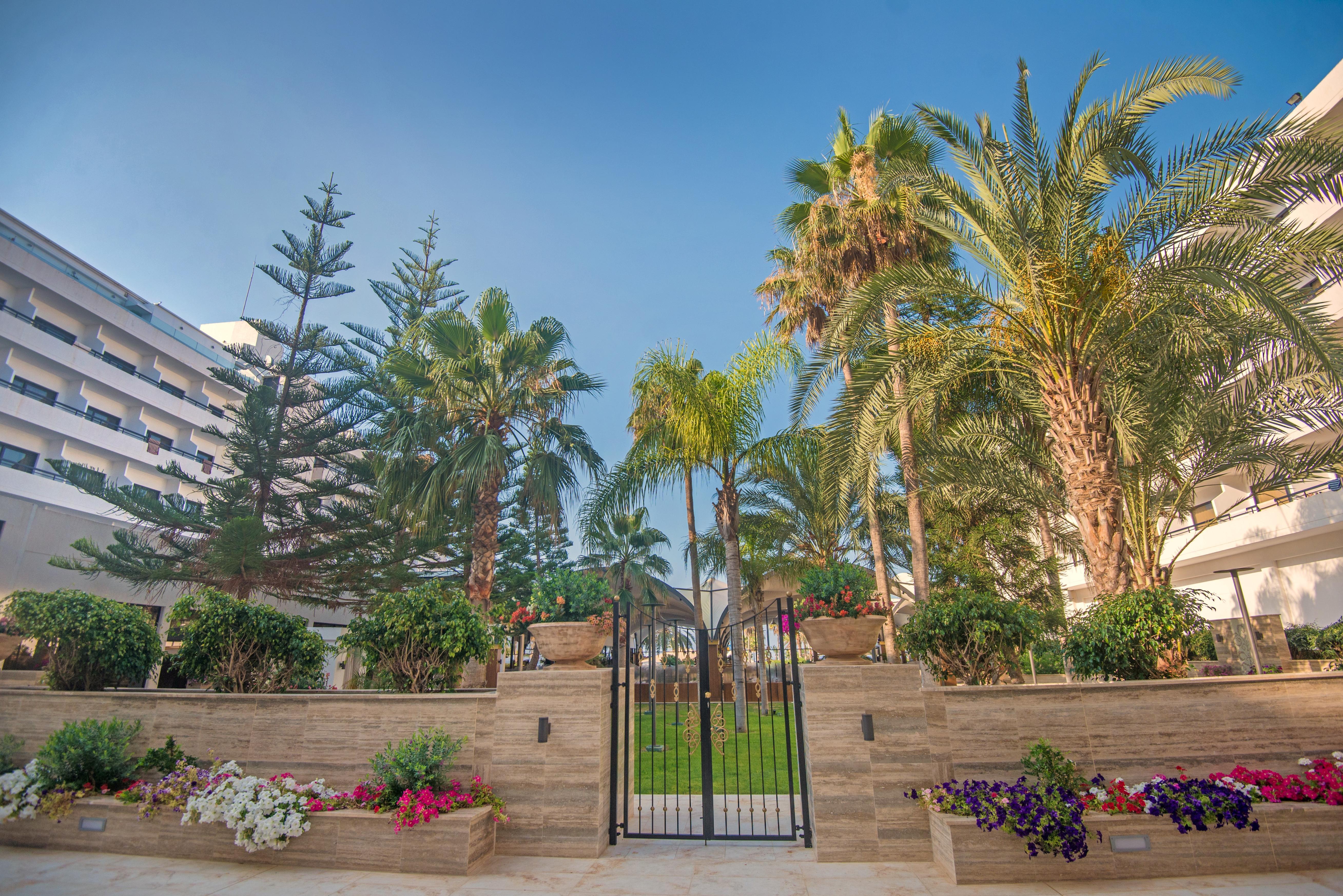 Adams Beach Hotel & Spa (Adults Only) Ayia Napa Esterno foto The hotel's gardens
